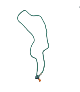 Green Phone Lanyard For All Phones, Braided Cell Phone Lanyard Crossbody For Women And Men