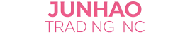JUNHAO TRADING INC